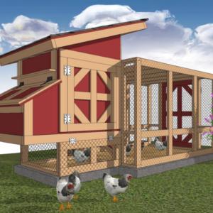 Chicken Coop & Run Plans