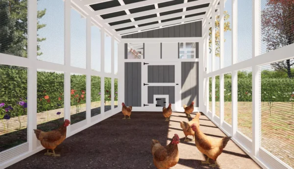 Chicken Coop Plan For 20 Chicken - Image 4