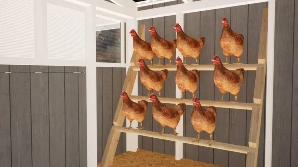 Chicken Coop Plan For 20 Chicken - Image 5