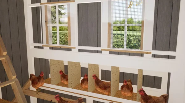 Chicken Coop Plan For 20 Chicken - Image 6