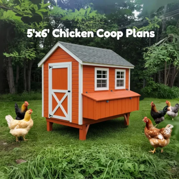 5x6 Chicken Coop Plans (6-12 Chickens) 2 il 1588xN.6919552109 isl9